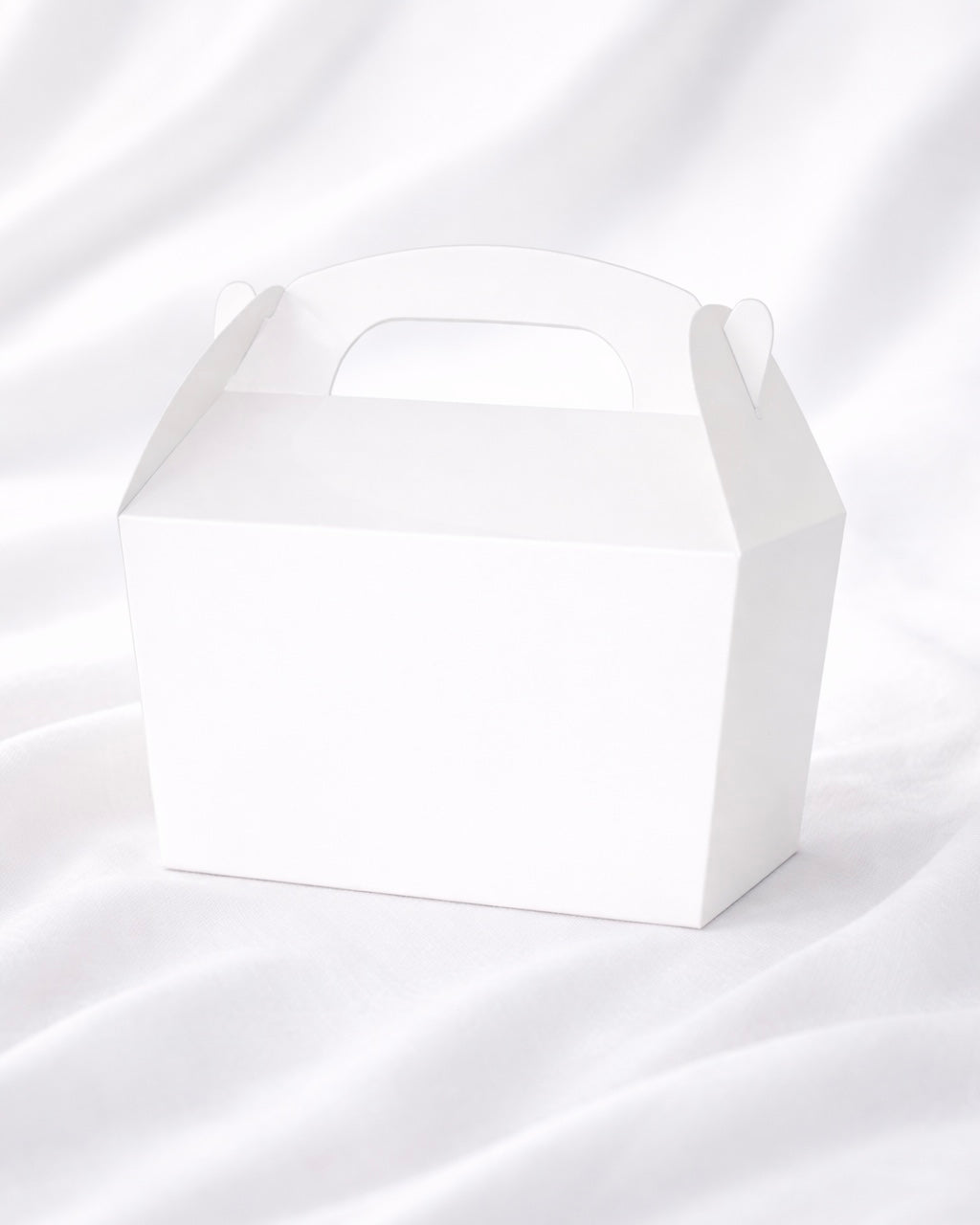 WHITE TREAT BOXES - PACK OF 10