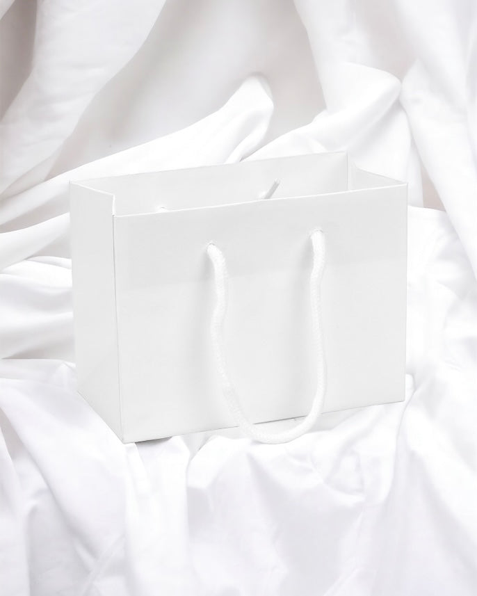 SMALL WHITE LANDSCAPE PAPER GIFT BAG WITH ROPE HANDLES