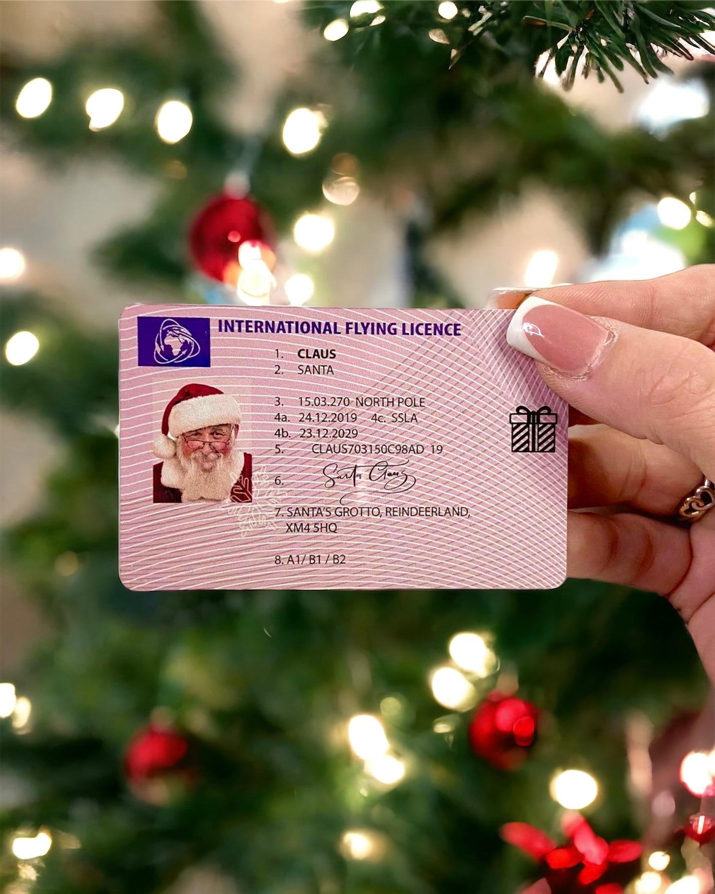 SANTA FLYING LICENCE - PACK OF 10