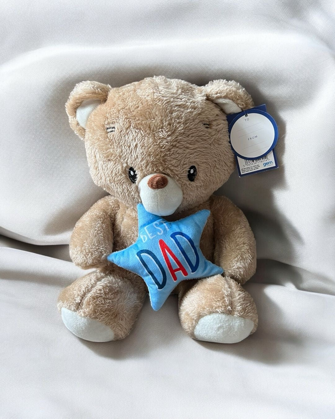 FATHERS DAY PLUSH TEDDY BEAR