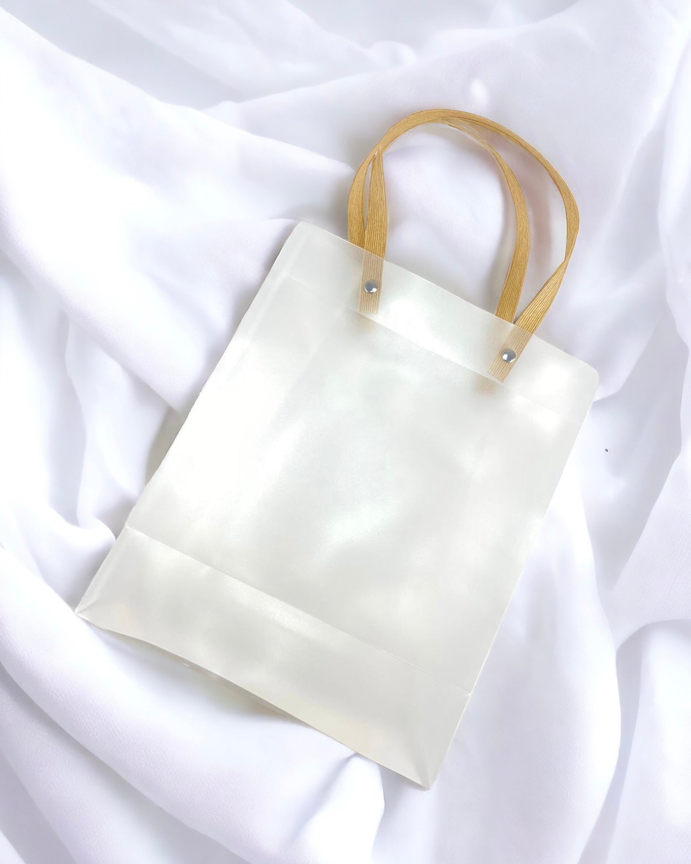FROSTED GIFT BAG