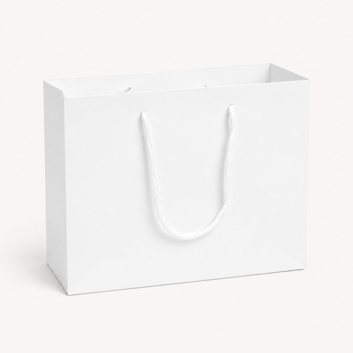 LARGE WHITE LANDSCAPE PAPER GIFT BAG WITH ROPE HANDLES