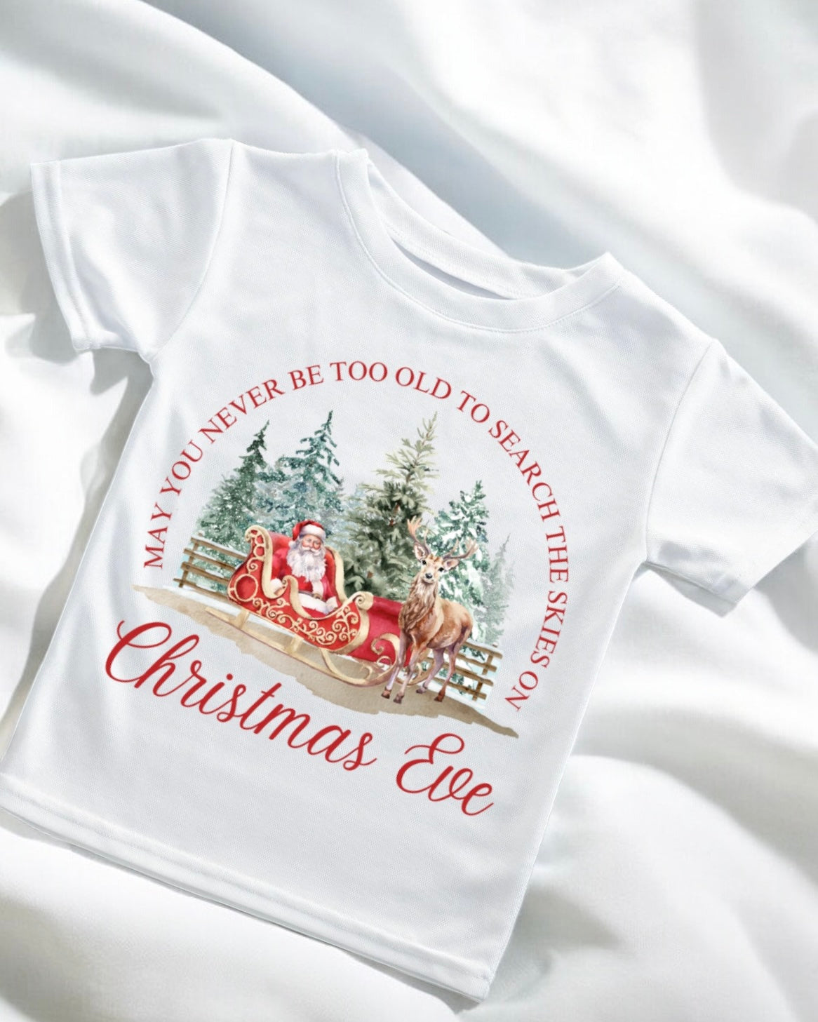 DTF - SEARCH THE SKY ON CHRISTMAS EVE