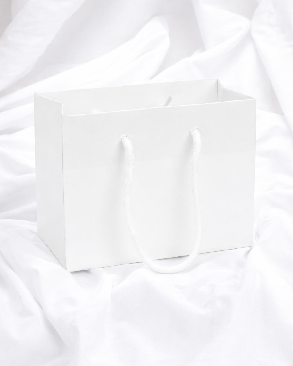 SMALL WHITE LANDSCAPE PAPER GIFT BAG WITH ROPE HANDLES