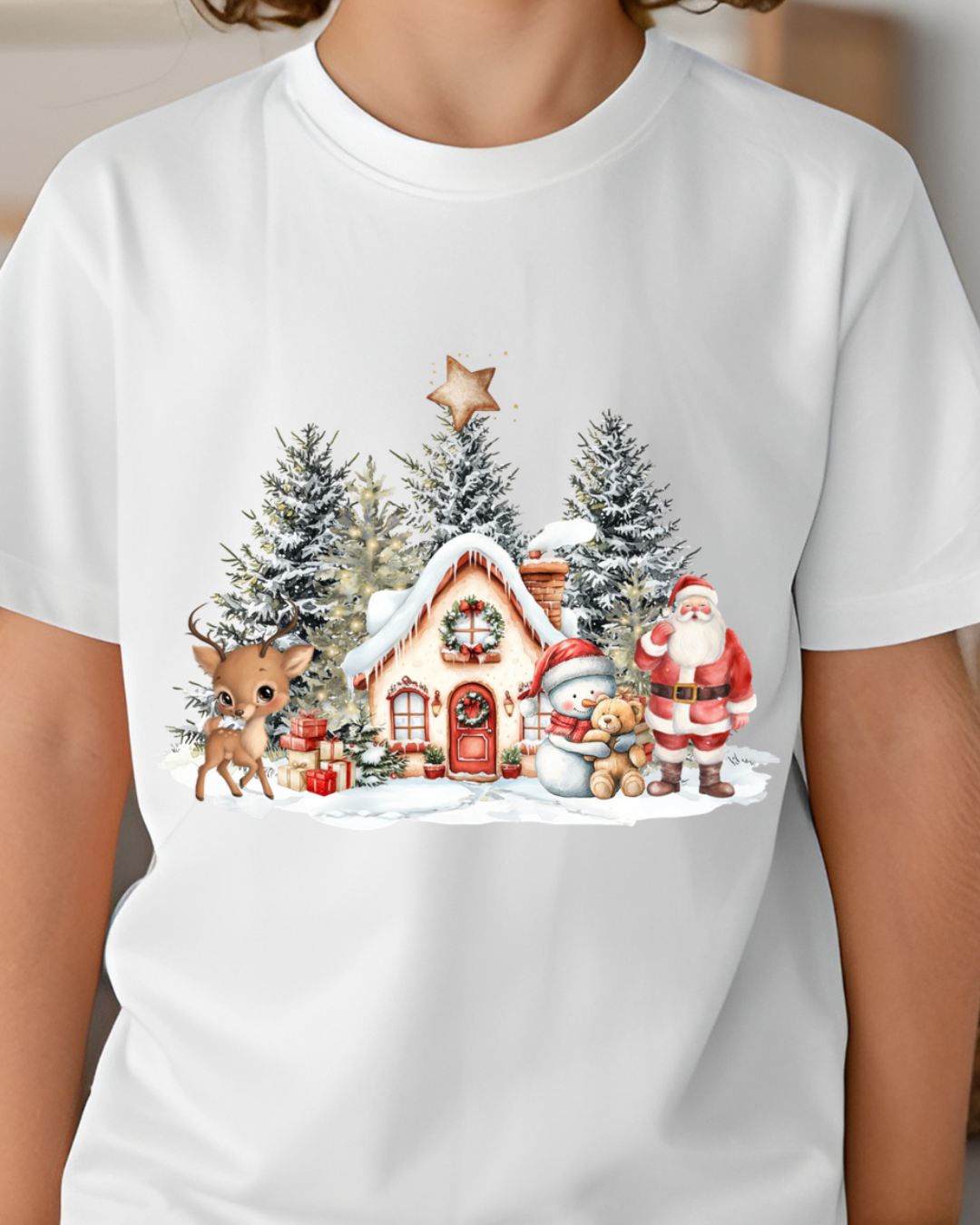 DTF - RED SANTA HOUSE