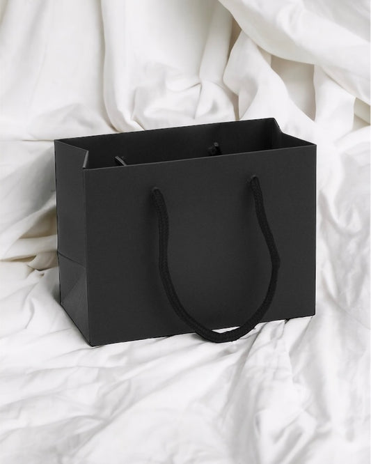 SMALL BLACK LANDSCAPE PAPER GIFT BAG WITH ROPE HANDLES